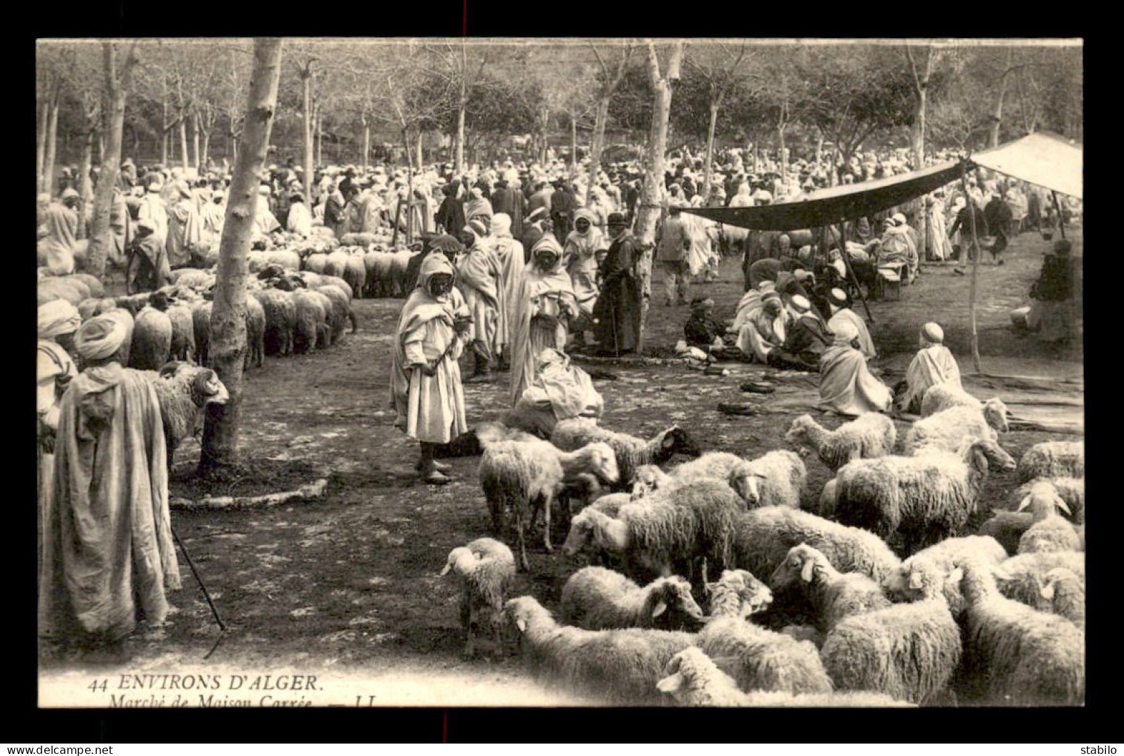 ALGERIE - MAISON CARREE - LE MARCHE - Autres & Non Classés