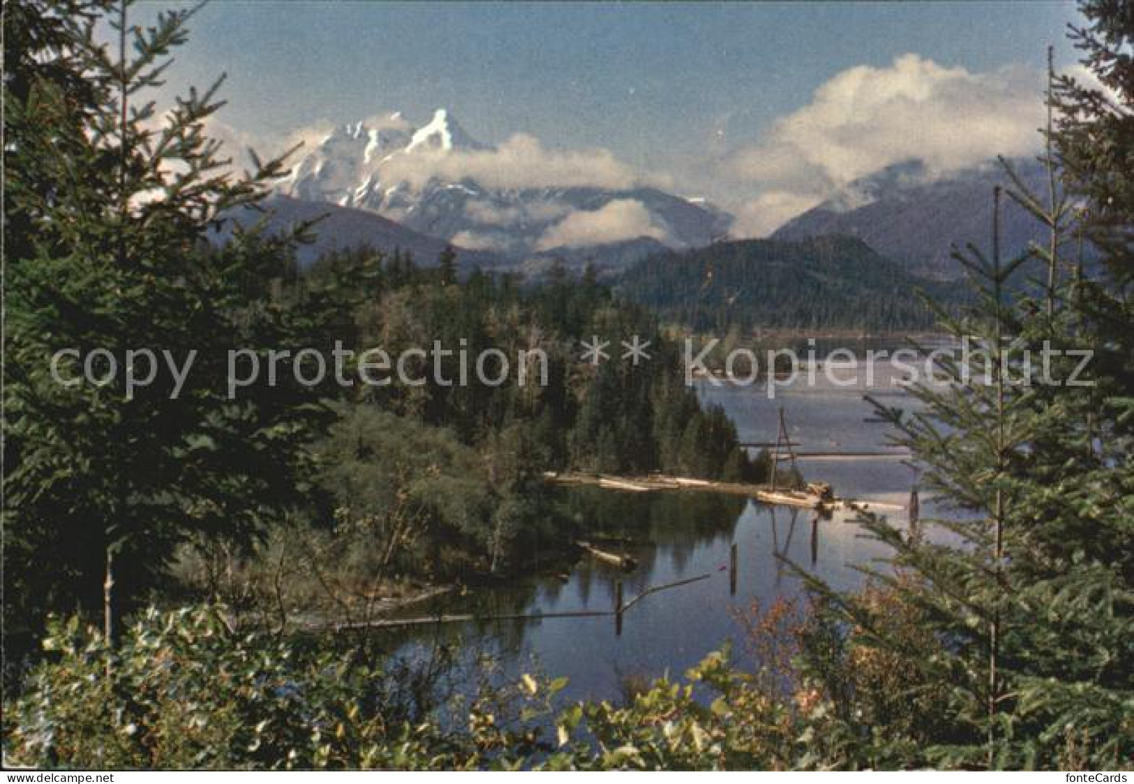 72434871 British Columbia Cedar Scented Forests British Columbia - Non Classés