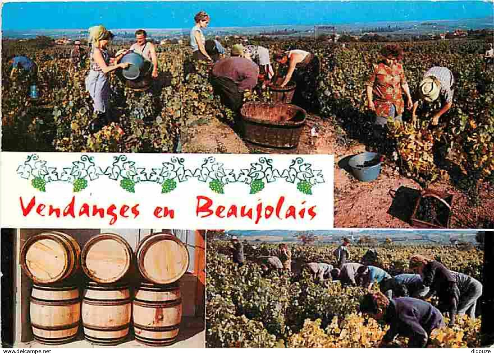 Vignes - Vendanges En Beaujolais - Multivues - Tonneaux - Vendanges - Raisins - Vin - CPM - Voir Scans Recto-Verso - Vines
