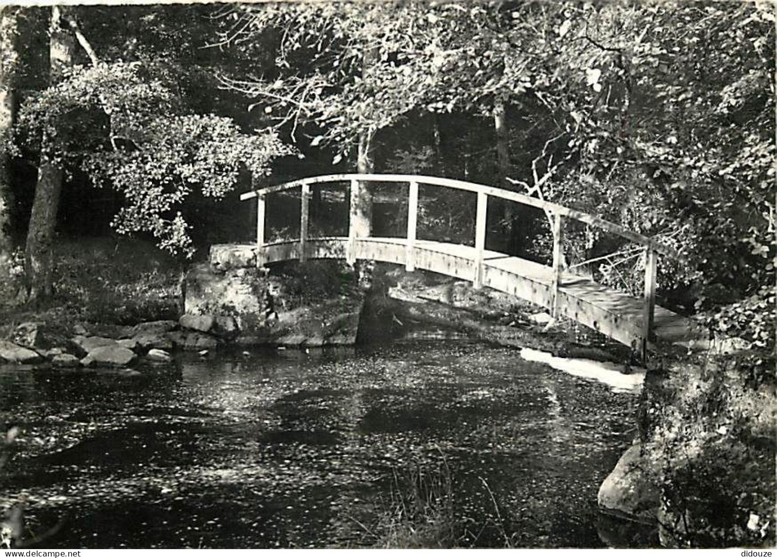 89 - Avallon - Le Pont Des Gardes Sur Le Cousin - CPSM Grand Format - Etat Trous De Punaises Visibles - CPM - Voir Scans - Avallon