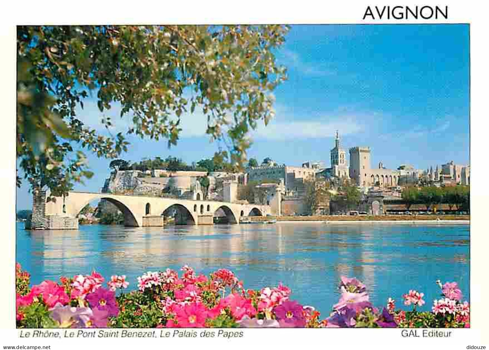 84 - Avignon - Le Rhône - Le Pont Saint Bénézet - Le Palais Des Papes - Fleurs - CPM - Voir Scans Recto-Verso - Avignon