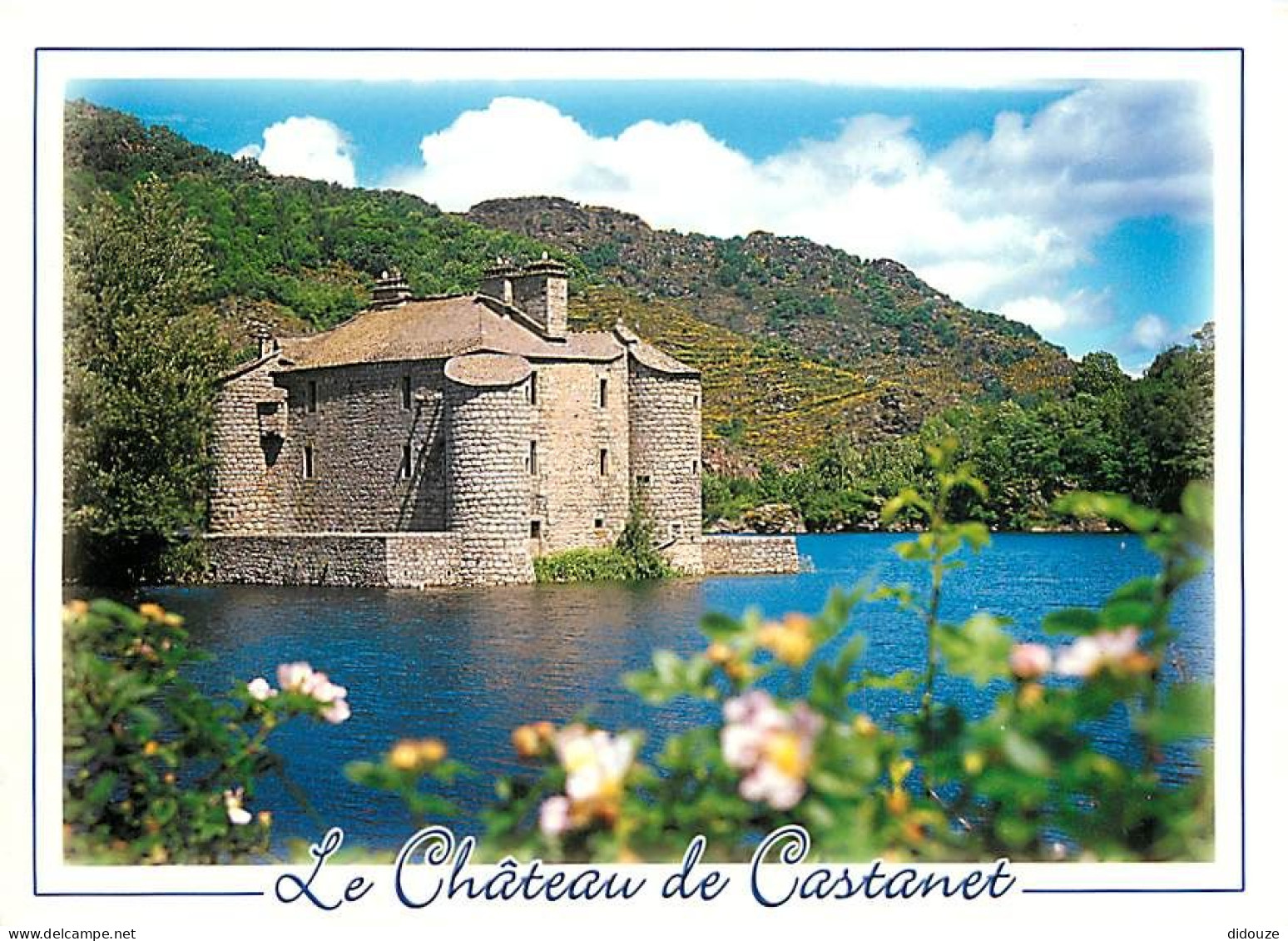 48 - Villefort - Le Château De Castanet - Construit Sur Un Piton Rocheux Et Cerné Par Les Eaux Du Barrage De Villefort - - Villefort