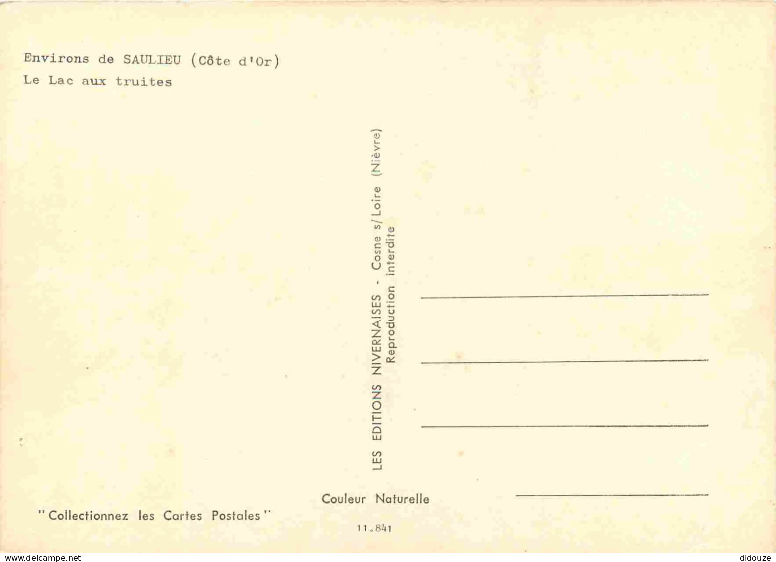 21 - Saulieu - Le Lac Aux Truites Aux Environs De Saulieu - CPM - Carte Neuve - Voir Scans Recto-Verso - Saulieu