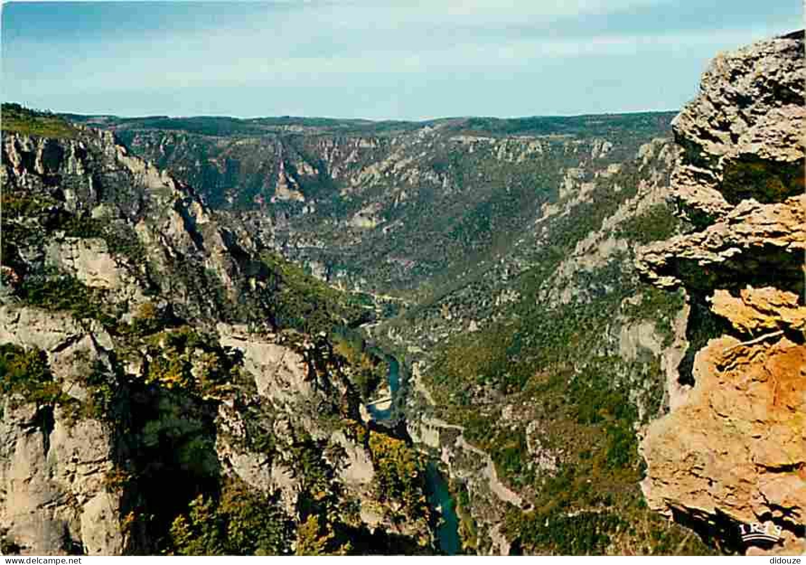 48 - Les Gorges Du Tarn - Le Point Sublime - Carte Neuve - CPM - Voir Scans Recto-Verso - Gorges Du Tarn