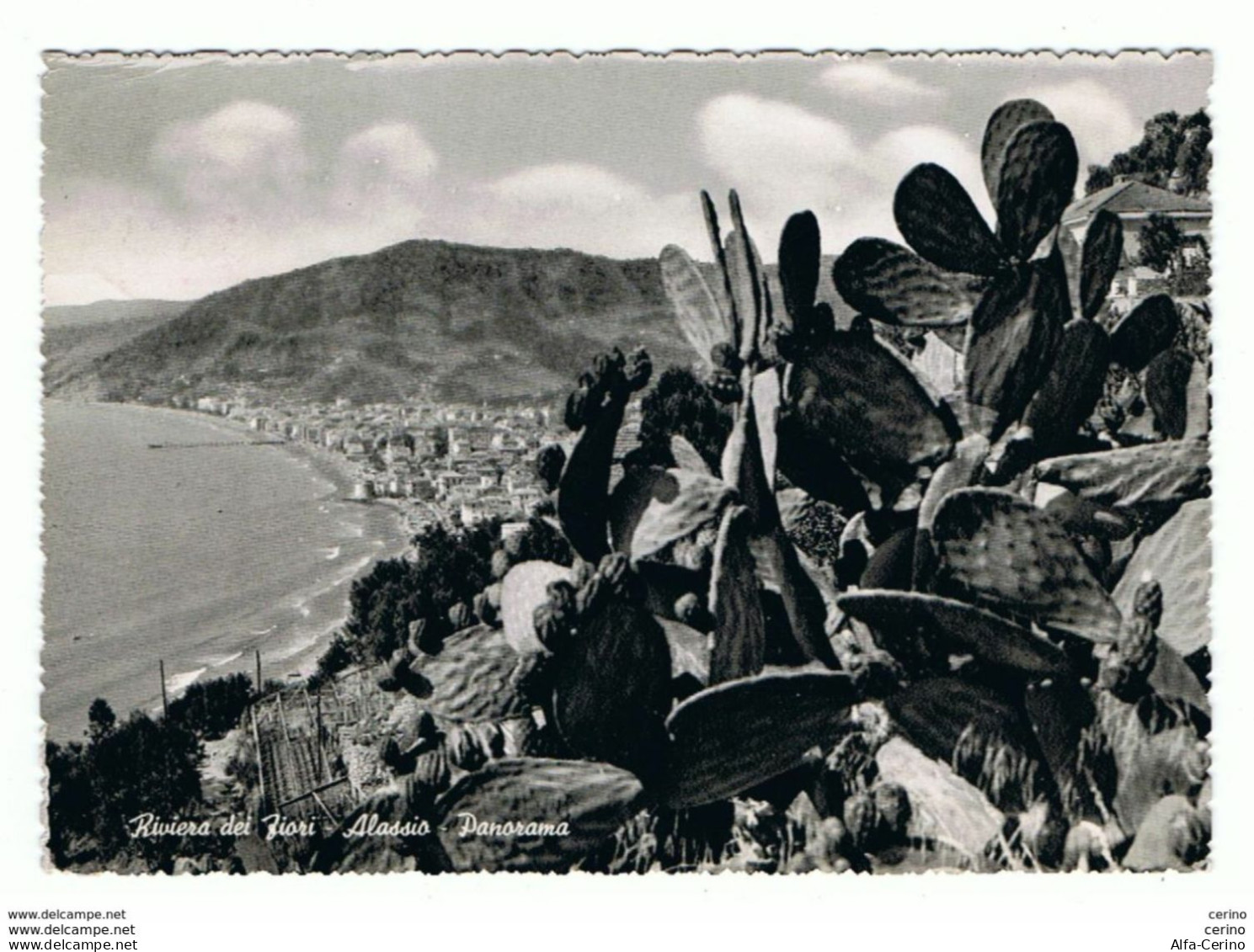 ALASSIO:  PANORAMA  -  FOTO  -  PER  LA  SVIZZERA  -  FG - Savona