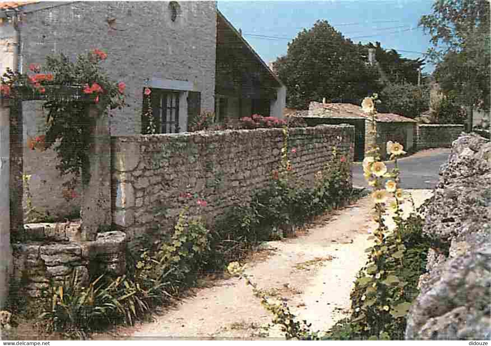 17 - Ile D'Oléron - Domino - Ruelle Typique - Flamme Postale De Saint Geroges D'Oléron - Fleurs - CPM - Voir Scans Recto - Ile D'Oléron