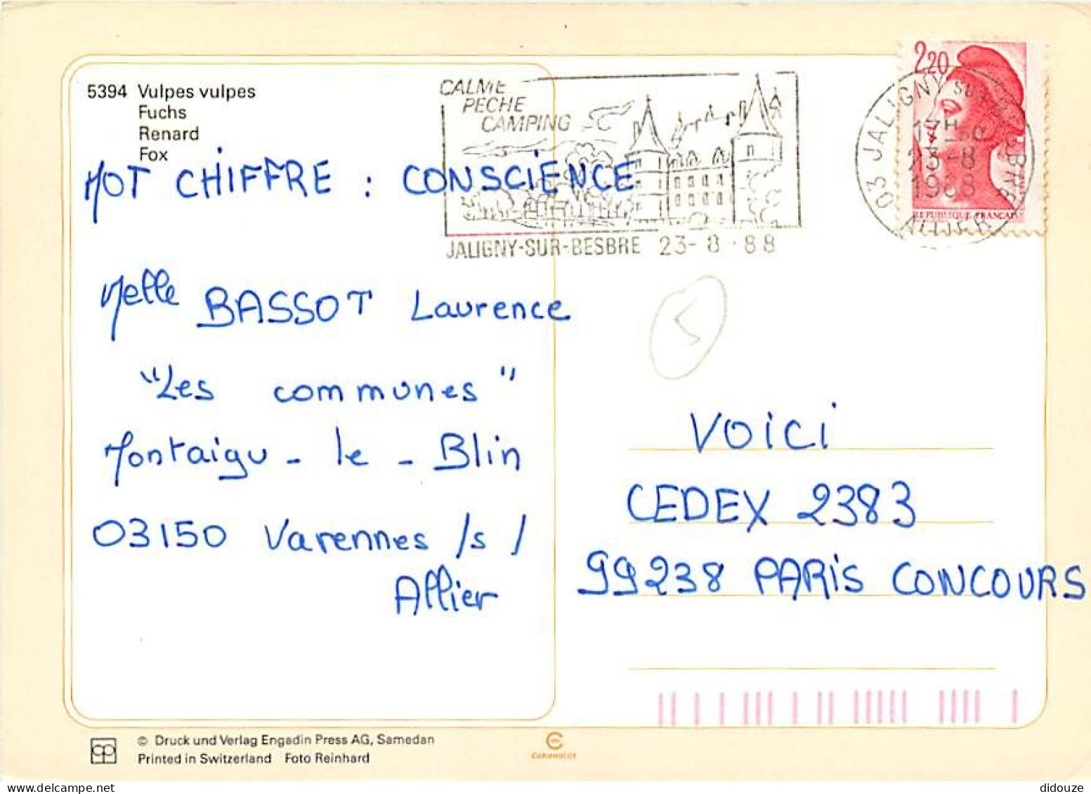 Animaux - Renards - Fox - CPM - Voir Scans Recto-Verso - Autres & Non Classés