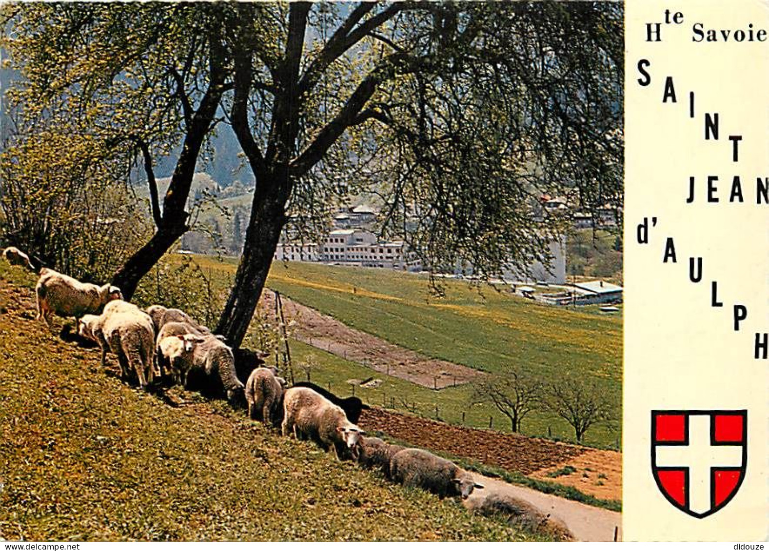 Animaux - Moutons - Haute Savoie - Saint Jean D'Aulph - Le Sana Au Printemps - Blasons - CPM - Voir Scans Recto-Verso - Autres & Non Classés