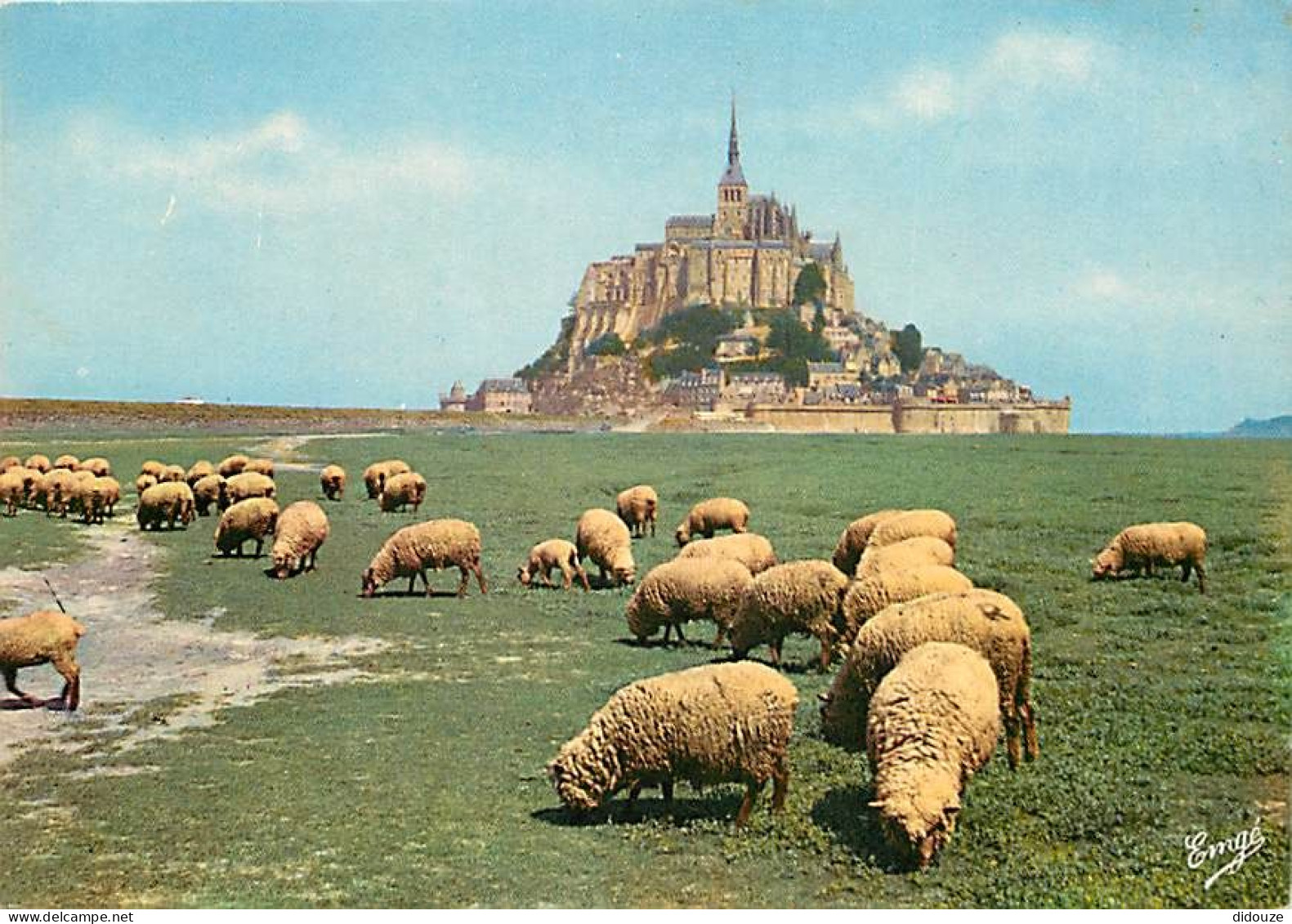 Animaux - Moutons - Le Mont Saint Michel - Les Moutons De Pré-salé - CPM - Voir Scans Recto-Verso - Sonstige & Ohne Zuordnung