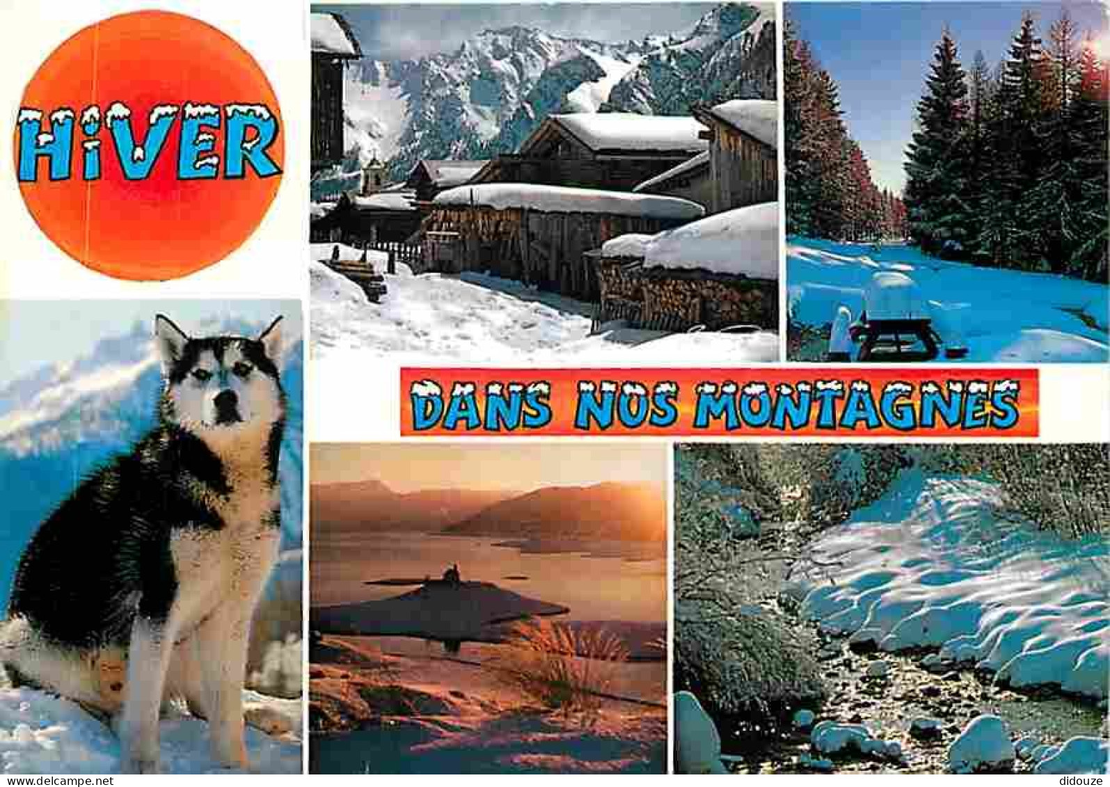 Animaux - Chiens - Husky - Alpes - Multivues - Montagnes - CPM - Voir Scans Recto-Verso - Dogs