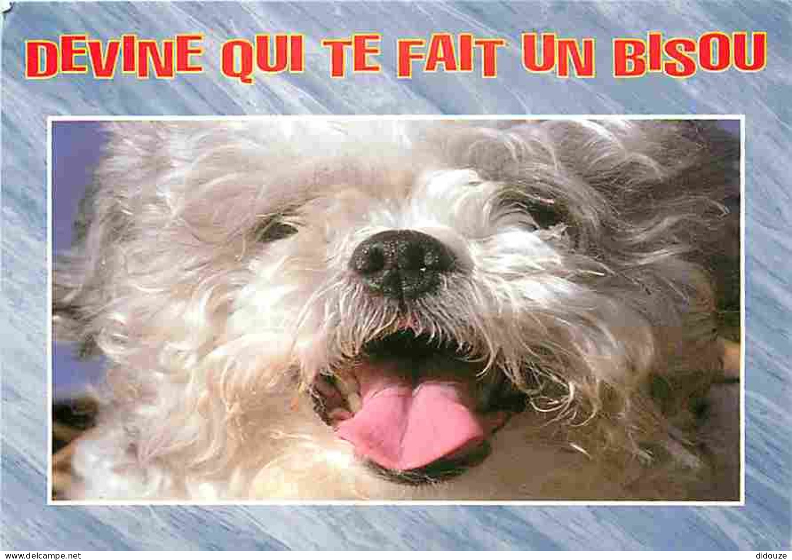 Animaux - Chiens - Race à Définir - Carte Humoristique - Flamme Postale - CPM - Voir Scans Recto-Verso - Honden