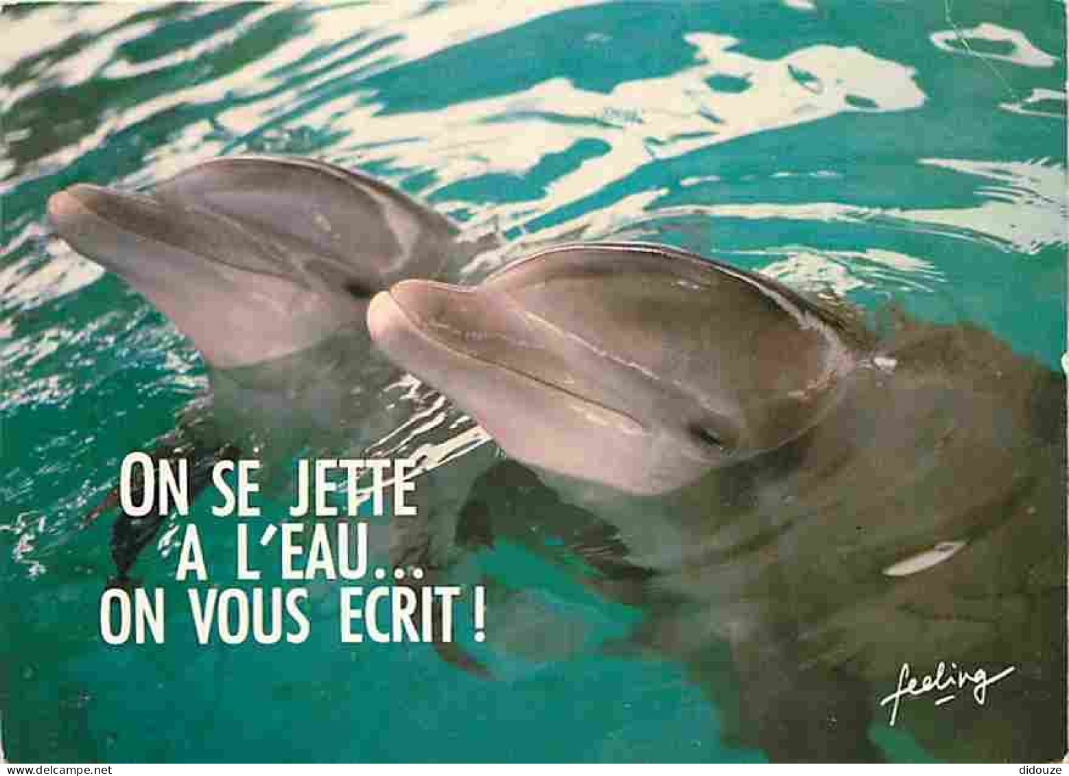 Animaux - Dauphins - CPM - Voir Scans Recto-Verso - Dauphins