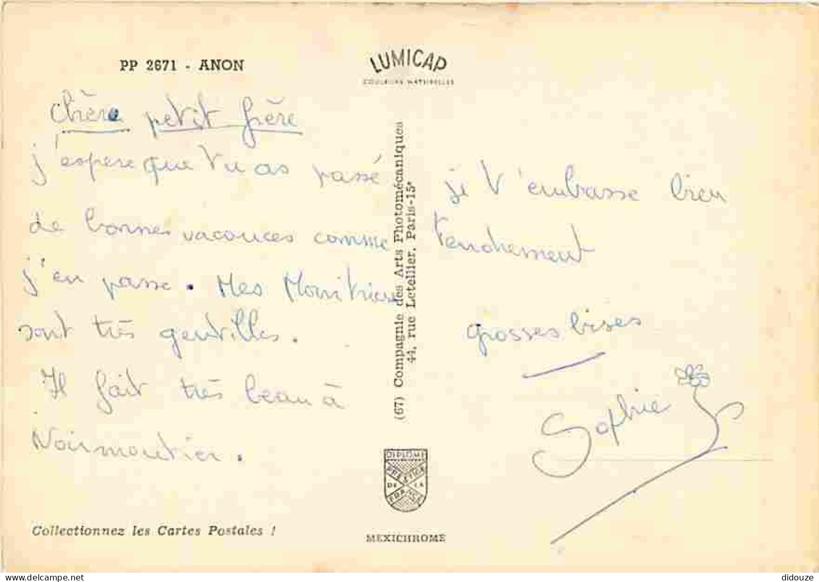 Animaux - Anes - Carte Humoristique - Anon - CPM - Voir Scans Recto-Verso - Donkeys