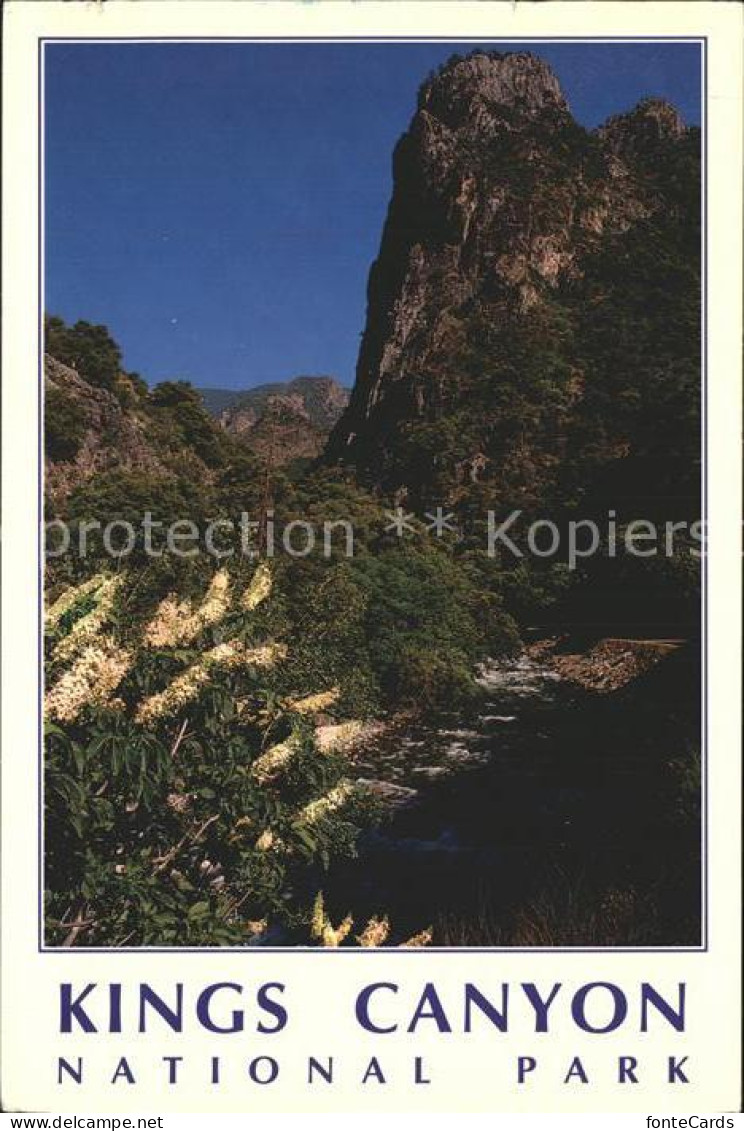 72369262 Kings_Canyon_National_Pk Kings River Rocky - Altri & Non Classificati