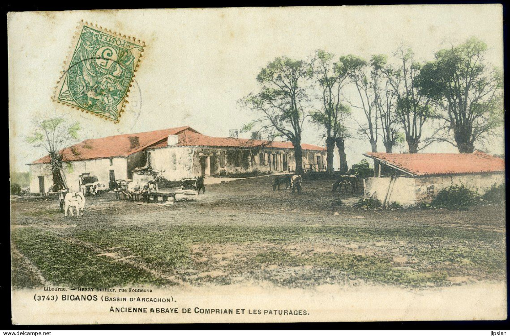 Cpa Du 33 Biganos - Bassin D' Arcachon - Ancienne Abbaye De Comprian Et Les Paturages    STEP156 - Arcachon