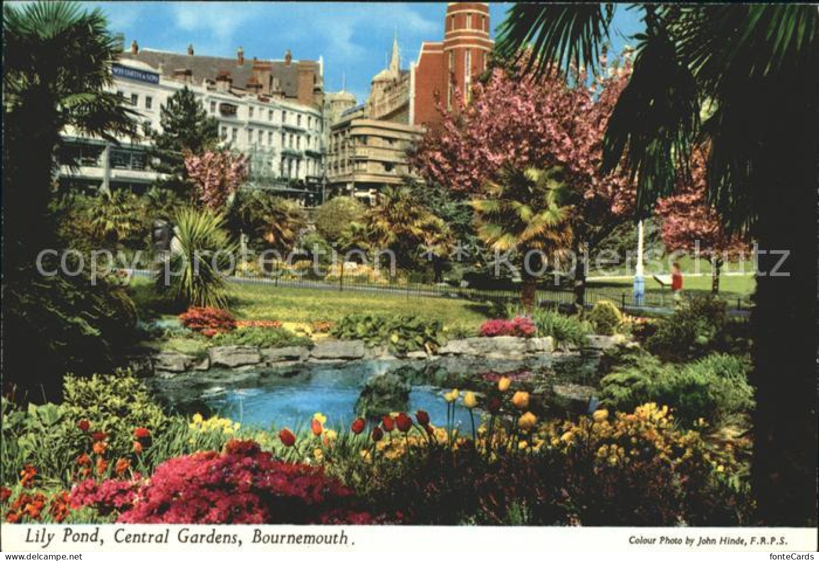 72349598 Bournemouth UK Central Garden  - Andere & Zonder Classificatie