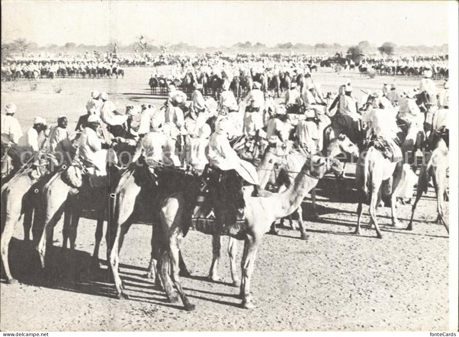 72346609 Sudan Camelherde National Gatherings - Otros & Sin Clasificación