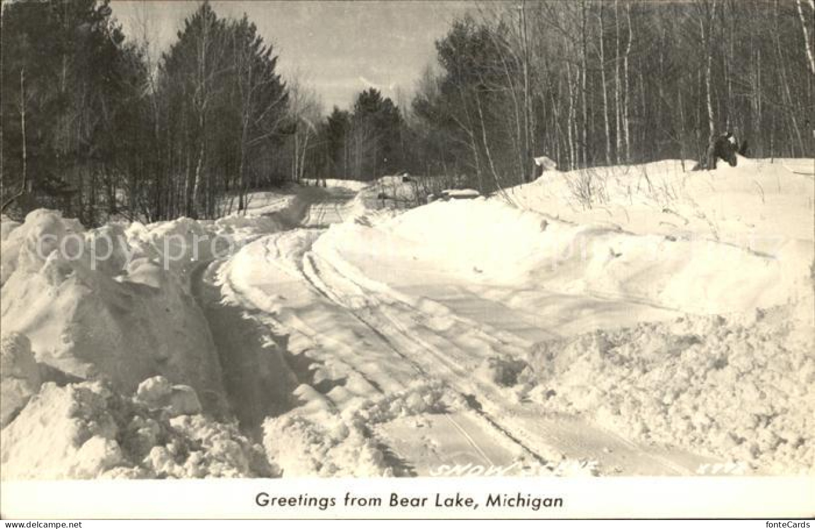 72341644 Bear_Lake_Michigan Verschneiter Wald - Sonstige & Ohne Zuordnung