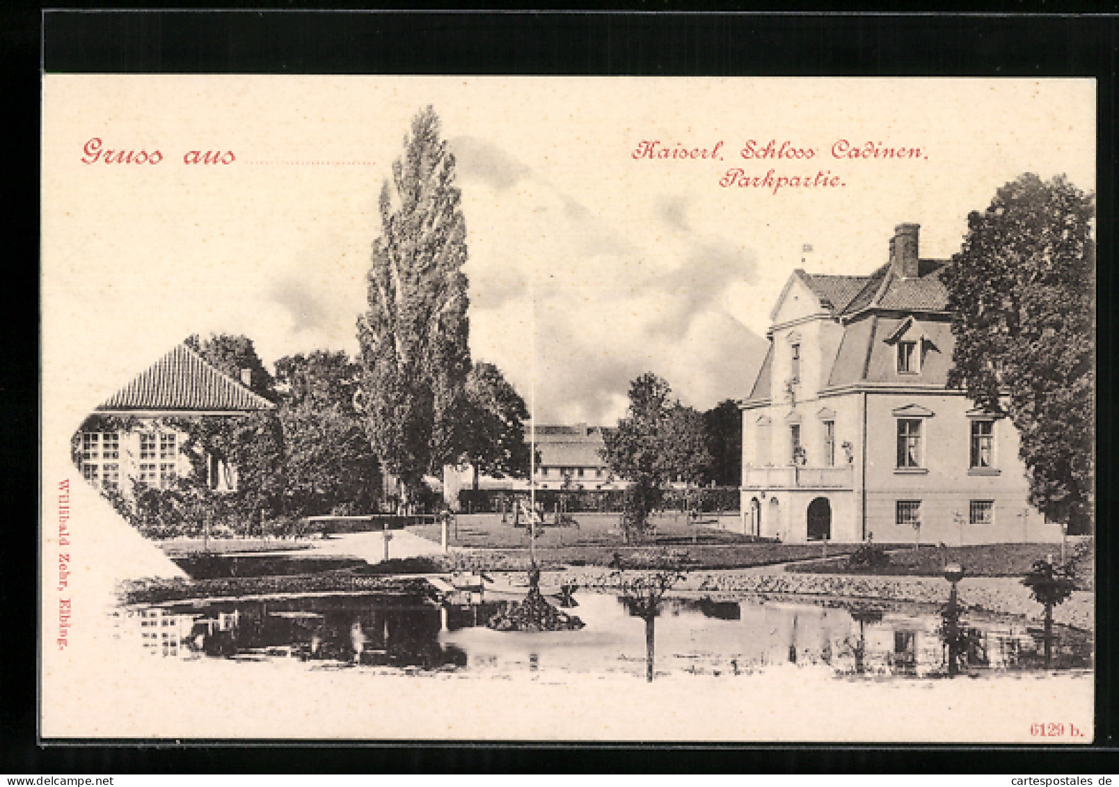 AK Cadinen, Kaiserl. Schloss, Parkpartie  - Westpreussen