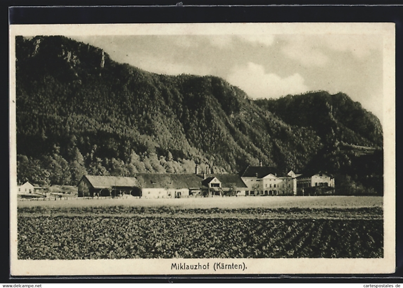 AK Sittersdorf, Blick Nach Miklauzhof  - Altri & Non Classificati