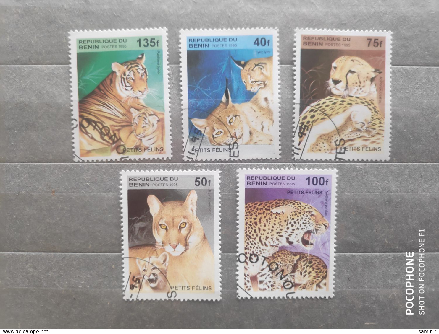 1995	Benin	Cats (F97) - Benin - Dahomey (1960-...)