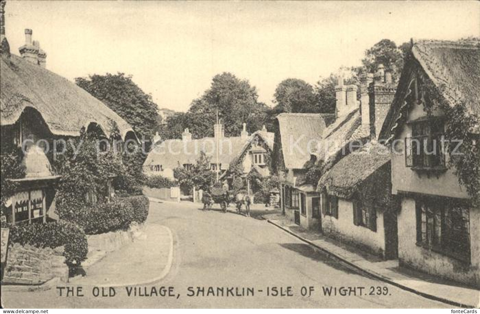72199168 Shanklin Old Village  Isle Of Wight - Autres & Non Classés