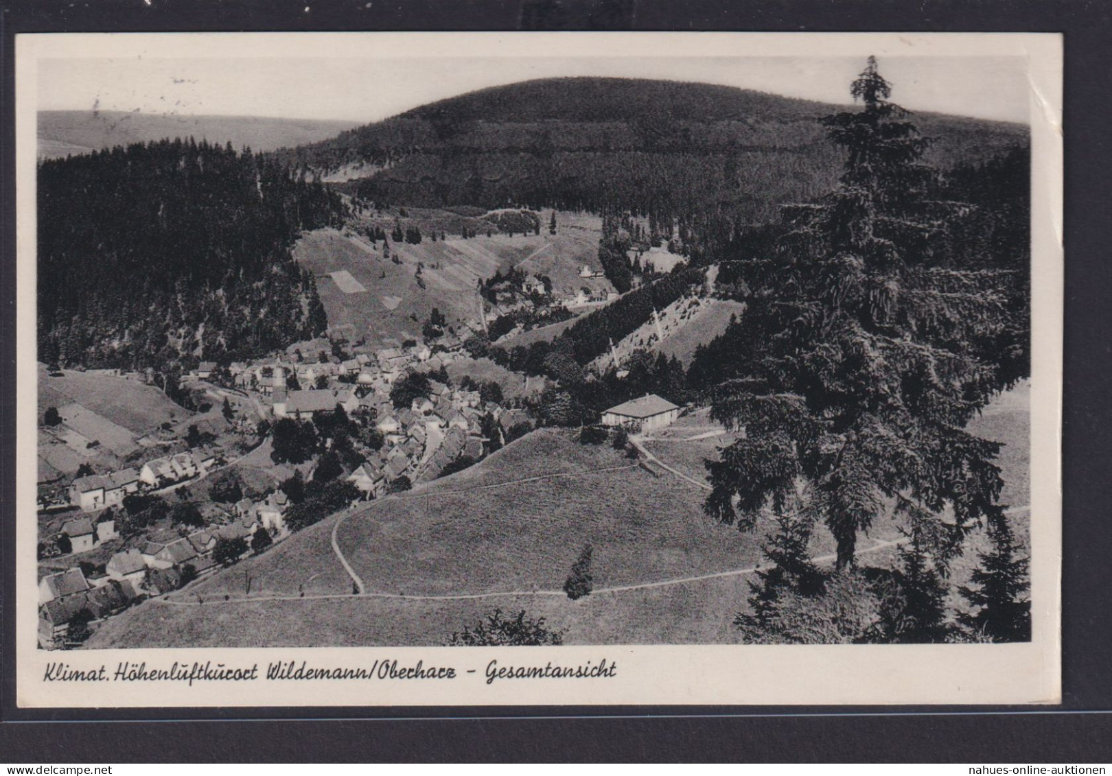 Ansichtskarte Wildemann Oberharz Kurort Gesamtansicht Landschaft Wald - Other & Unclassified