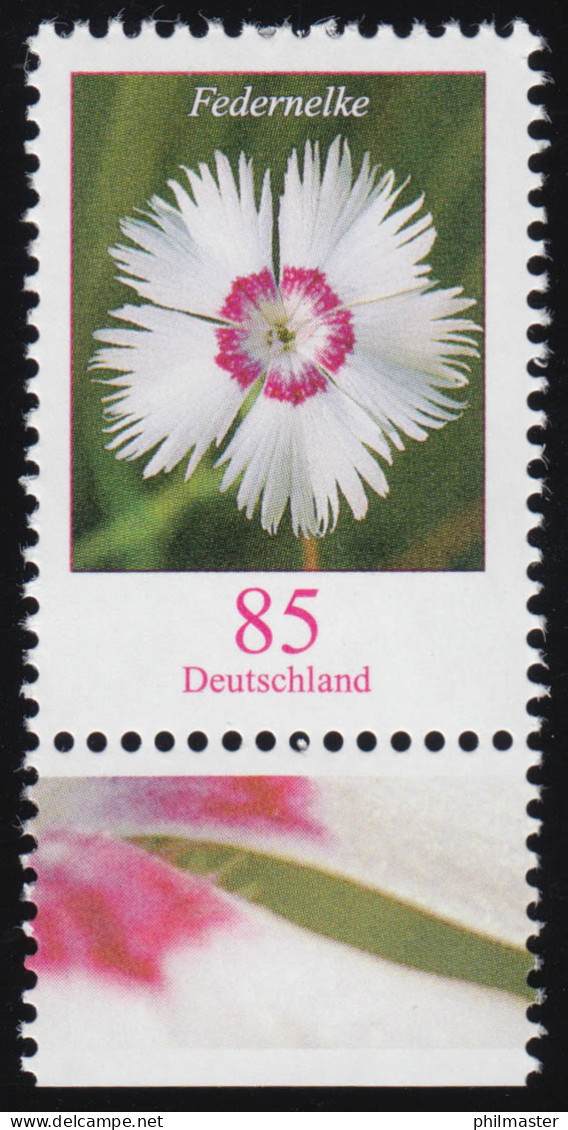 3116 Blume Federnelke 85 Cent Aus Bogen, Postfrisch ** - Neufs