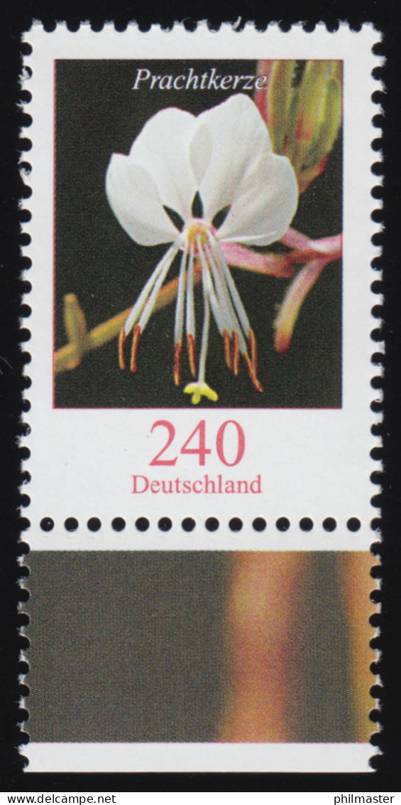 2969 Blumen 240 Cent Prachtkerze Aus Bogen, Postfrisch ** - Neufs