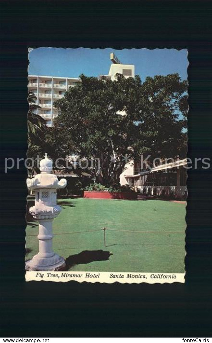 72179653 Santa_Monica Fig Tree Miramar Hotel - Altri & Non Classificati