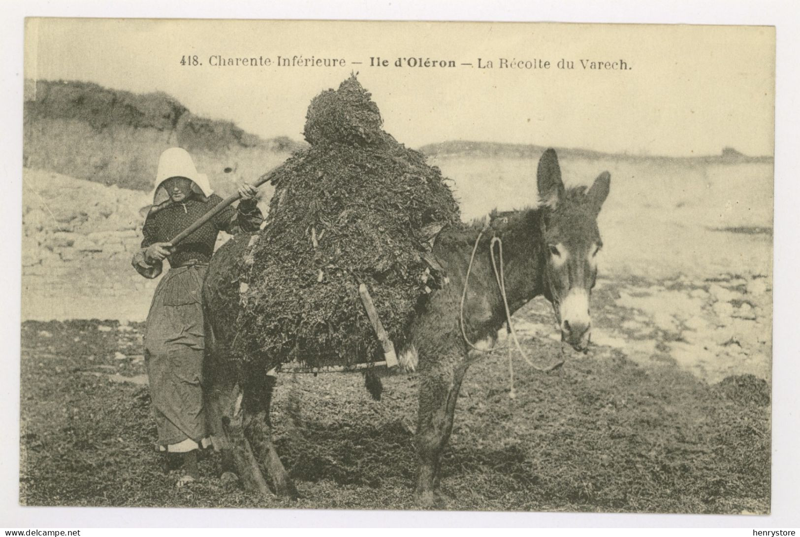 ILE D'OLÉRON : La Récolte Du Varech - Ane (z3912) - Ile D'Oléron