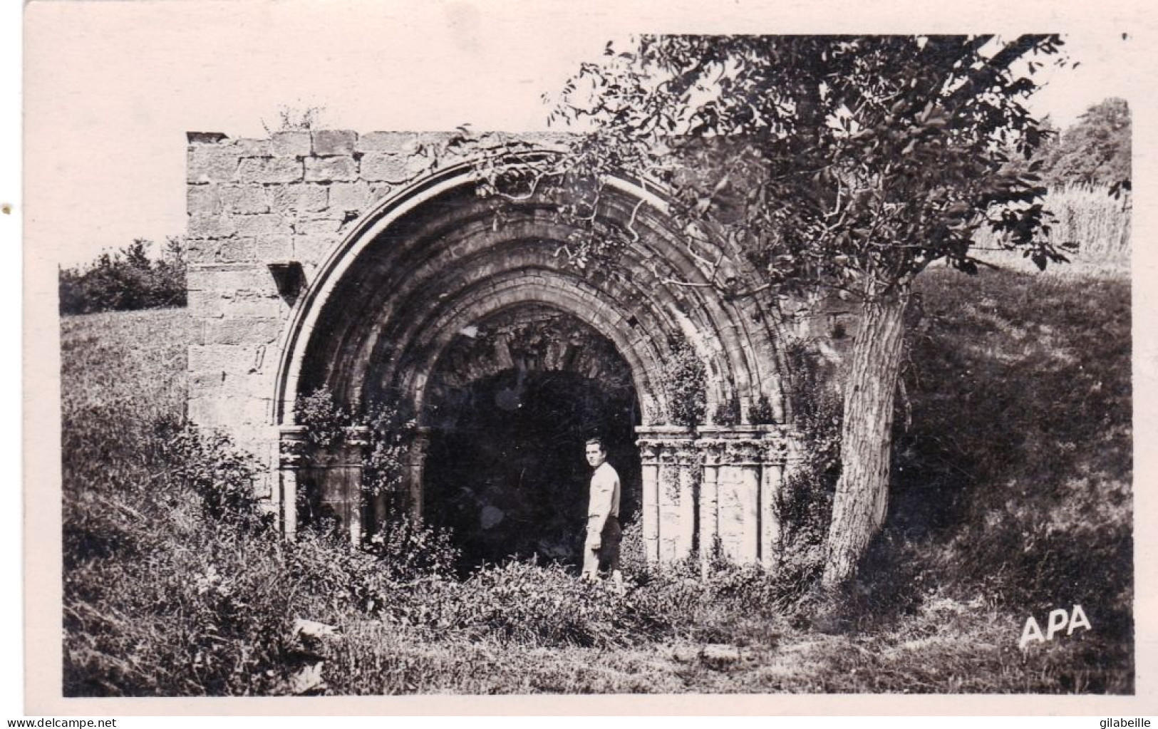 09 - Arieges -  MIREPOIX - Fontaine Des Cordeliers - Carte Glacée - Mirepoix