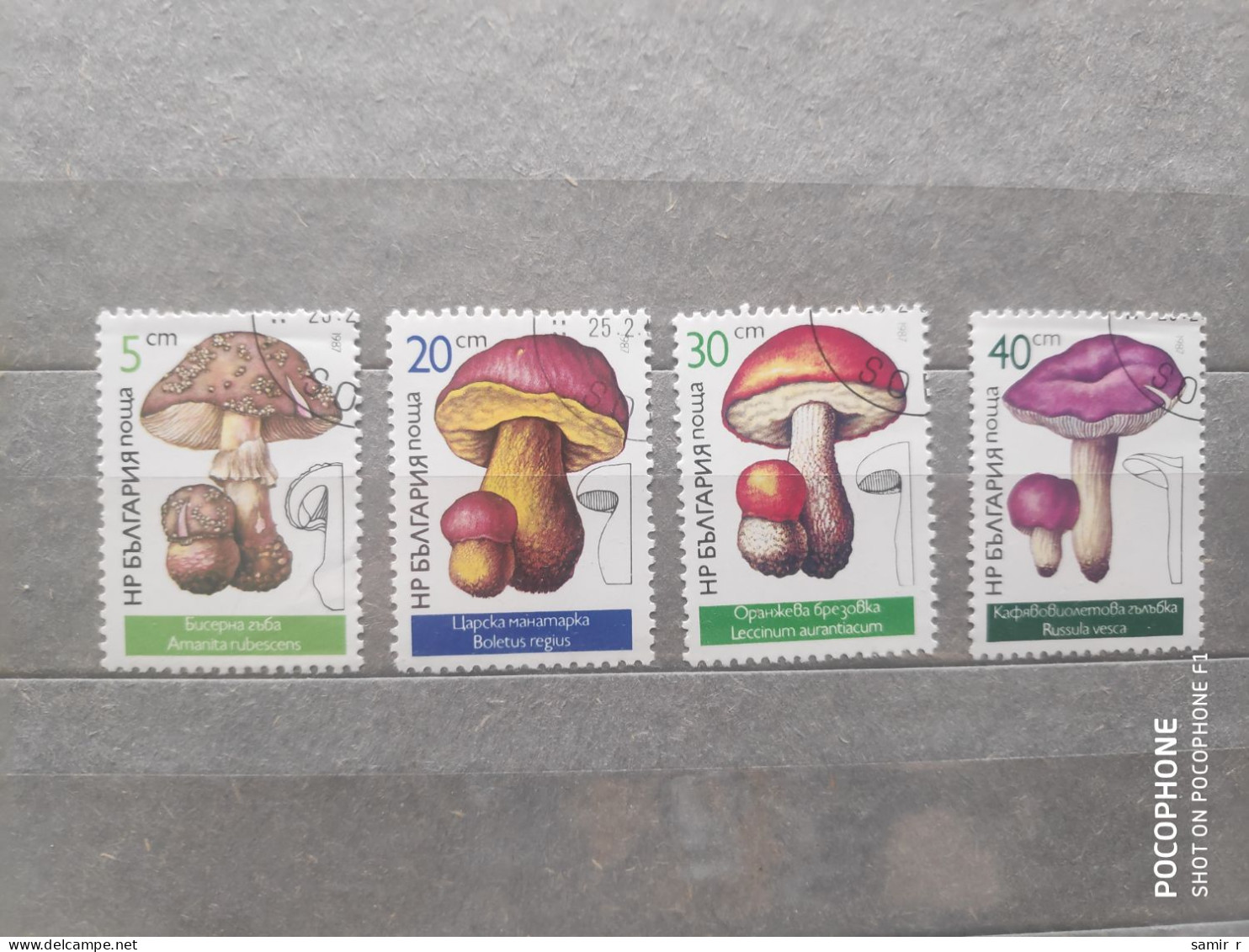 1987	Bulgaria	Mushrooms (F97) - Usados