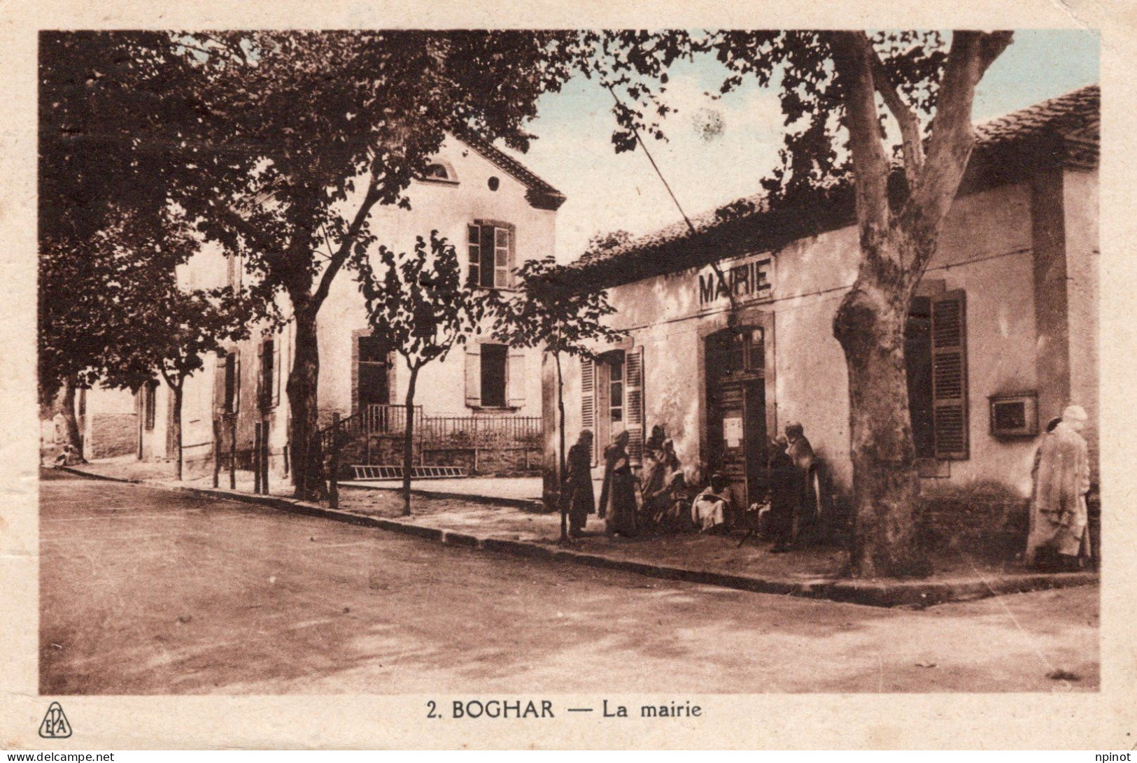 C P A -   ALGERIE -  BOGHAR - La Mairie - Autres & Non Classés