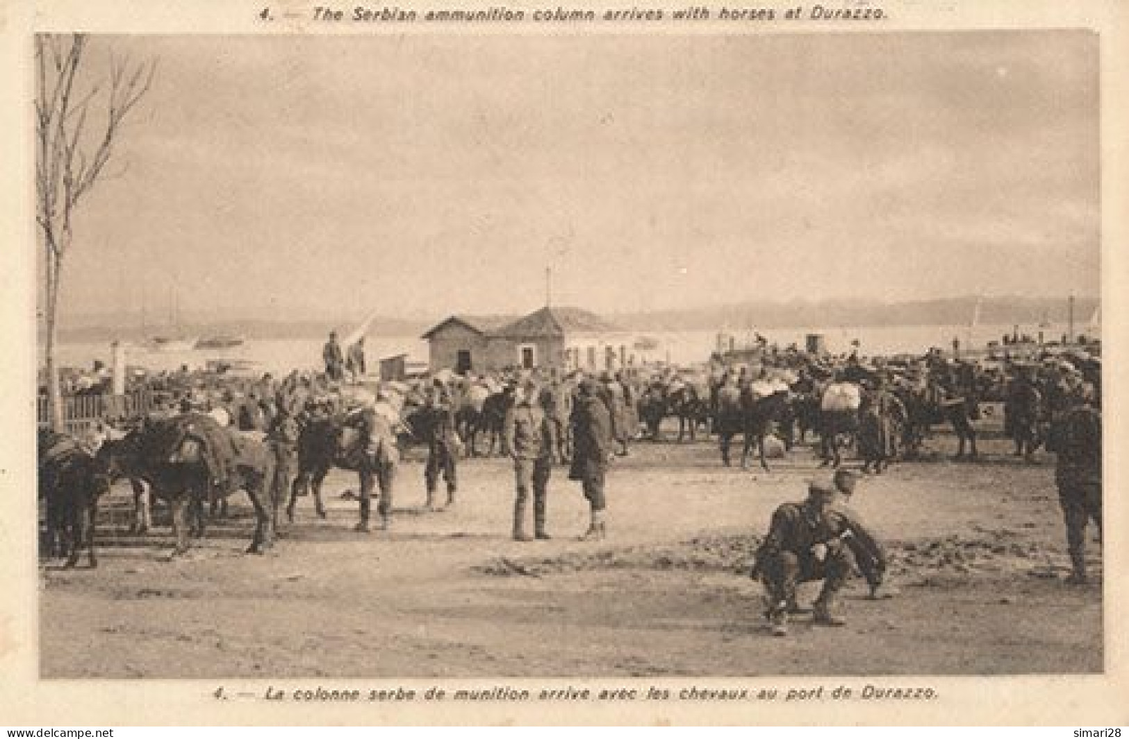 DURAZZO - N° 4 - LA COLONNE SERBE DE MUNITION ARRIVE AVEC LES CHEVAUX AU PORT DE DURAZZO - Albania