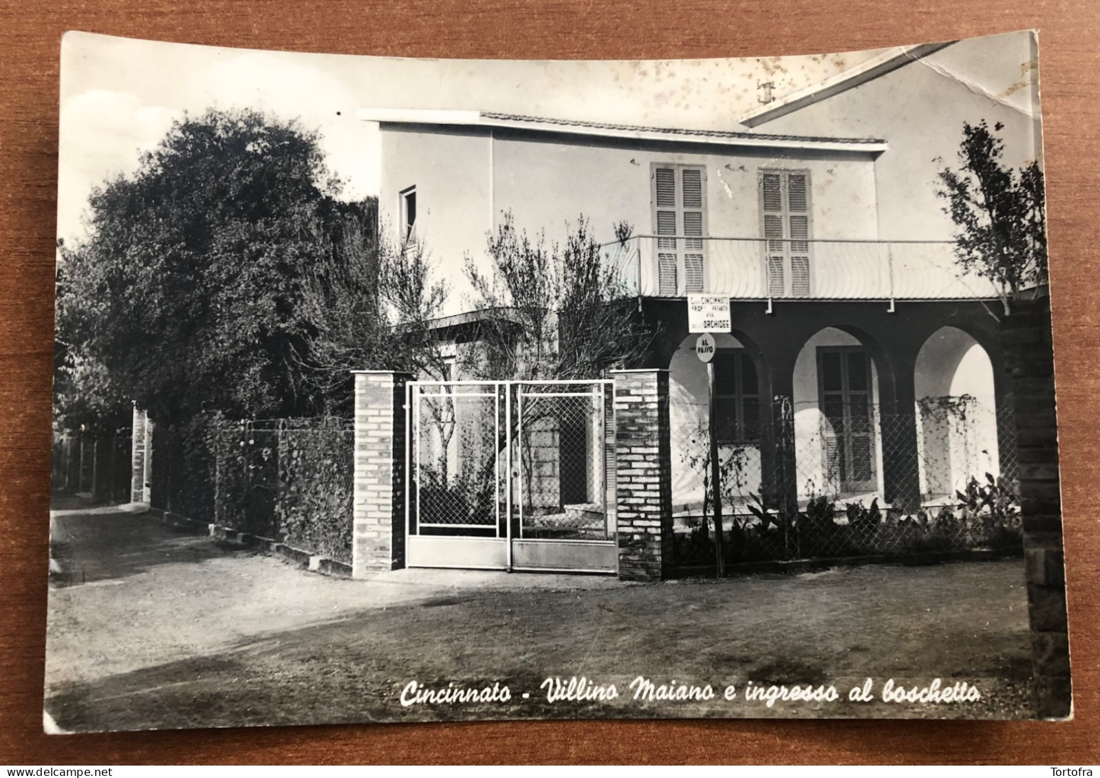 CINCINNATO ( ROMA ) VILLINO MAIANO E INGRESSO AL BOSCHETTO  1953 - Sonstige & Ohne Zuordnung