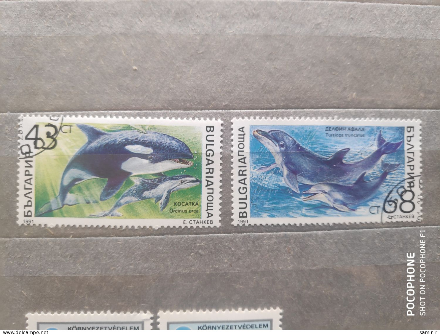 1991	Bulgaria	Fishes (F97) - Oblitérés