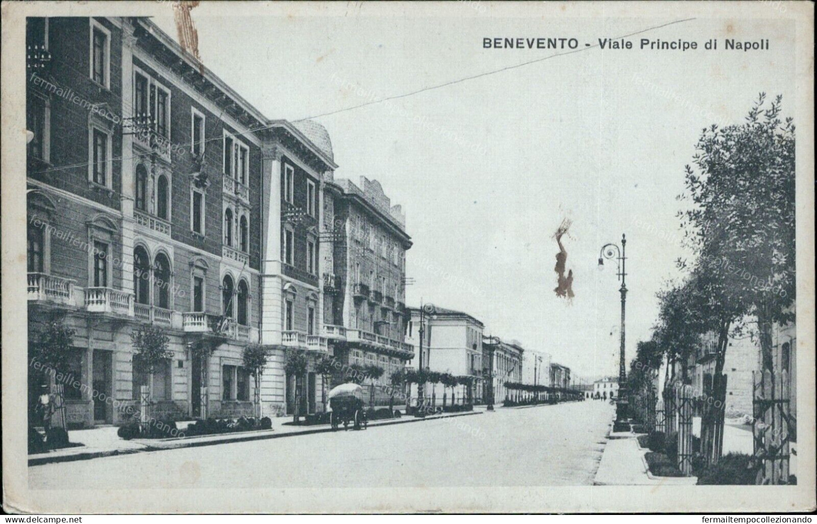 Cs382 Cartolina Benevento Citta' Viale Principe Di Napoli 1930 Campania - Benevento