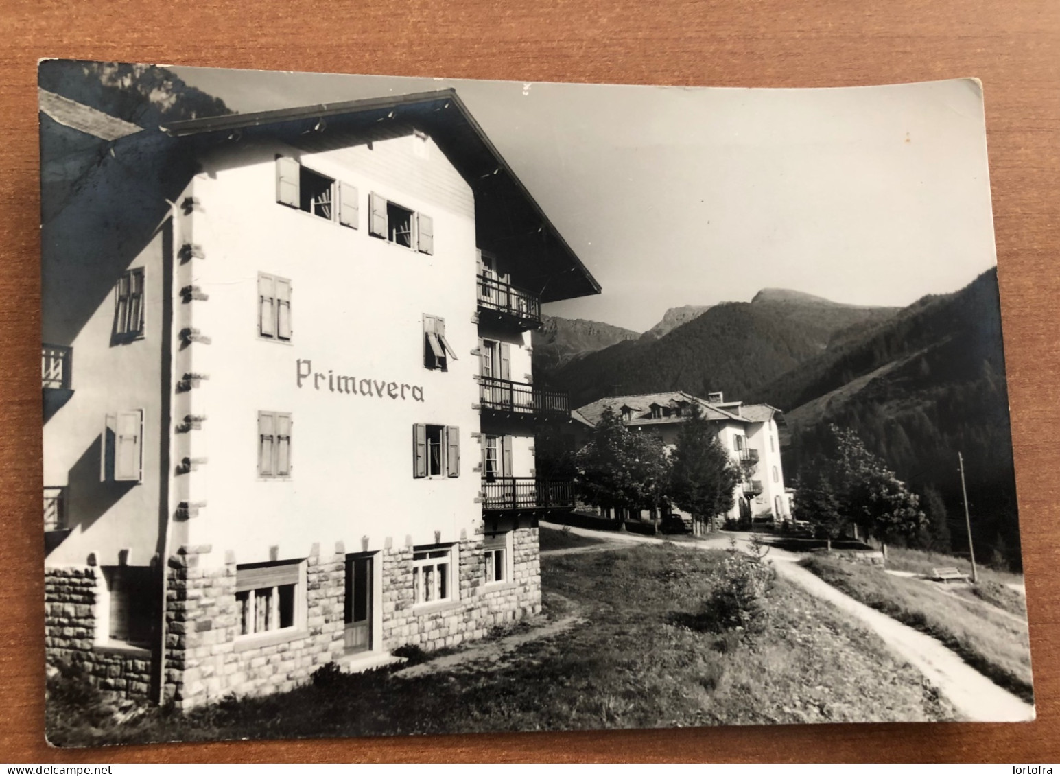 SOMEDA DI MOENA ( VAL DI FIEMME TRENTO ) CASA NOSTRA SIGNORA DEL S. CUORE 1964 - Trento