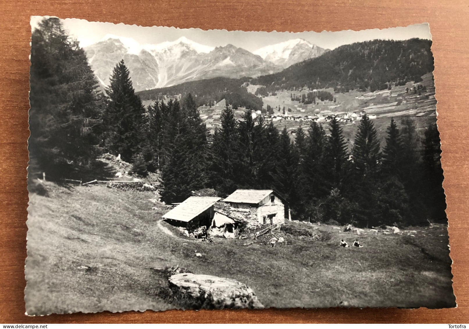 ANTICA FONTE PEJO ( TRENTO ) PEJO PAESE E IL GRUPPO ORTLER-CEVEDALE - Trento