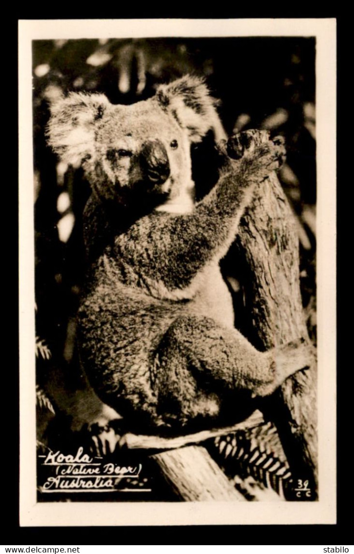 AUSTRALIE - KOALA - Altri & Non Classificati