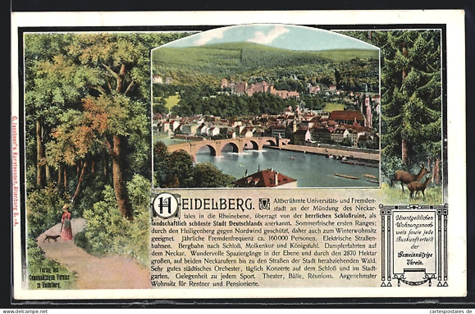 AK Heidelberg, Ortsansicht Mit Wald Umrahmt  - Heidelberg