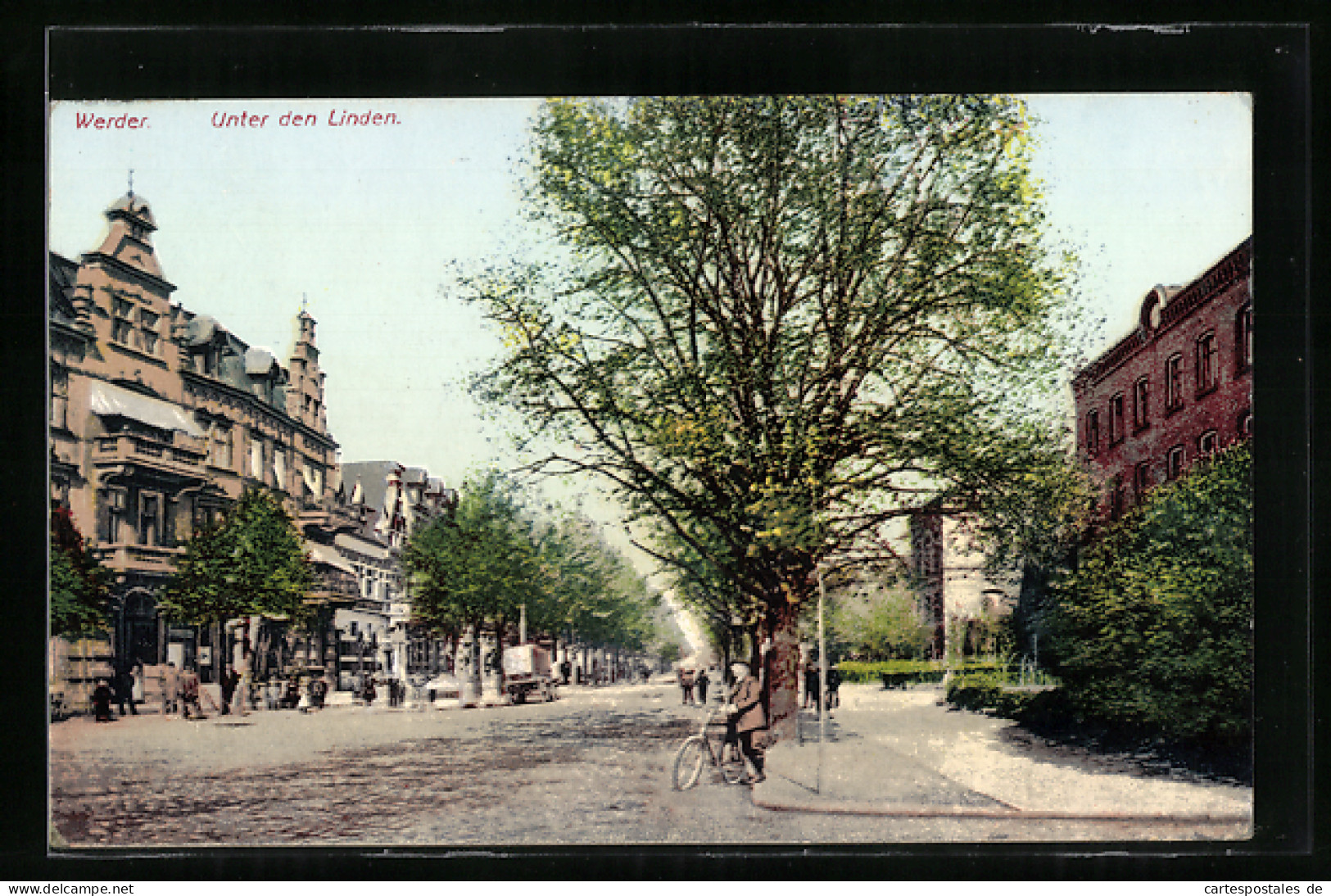 AK Werder, Unter Den Linden  - Werder