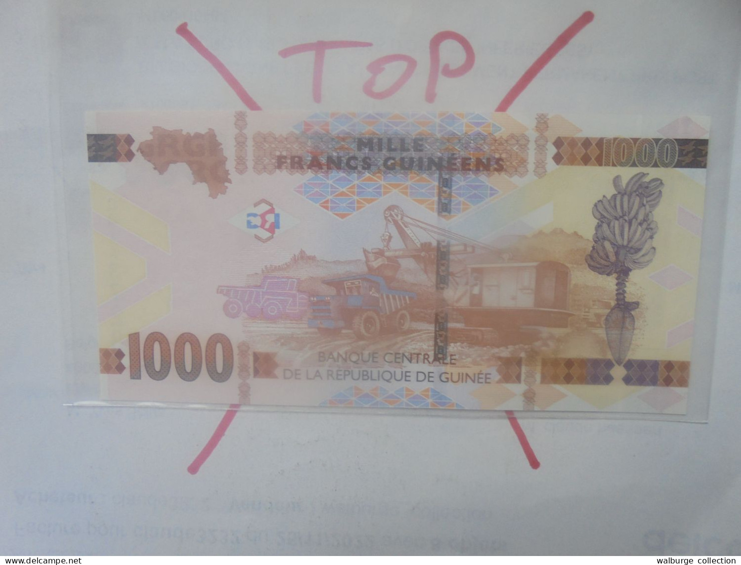 GUINEE 1000 FRANCS 2017 Neuf (B.33) - Guinee