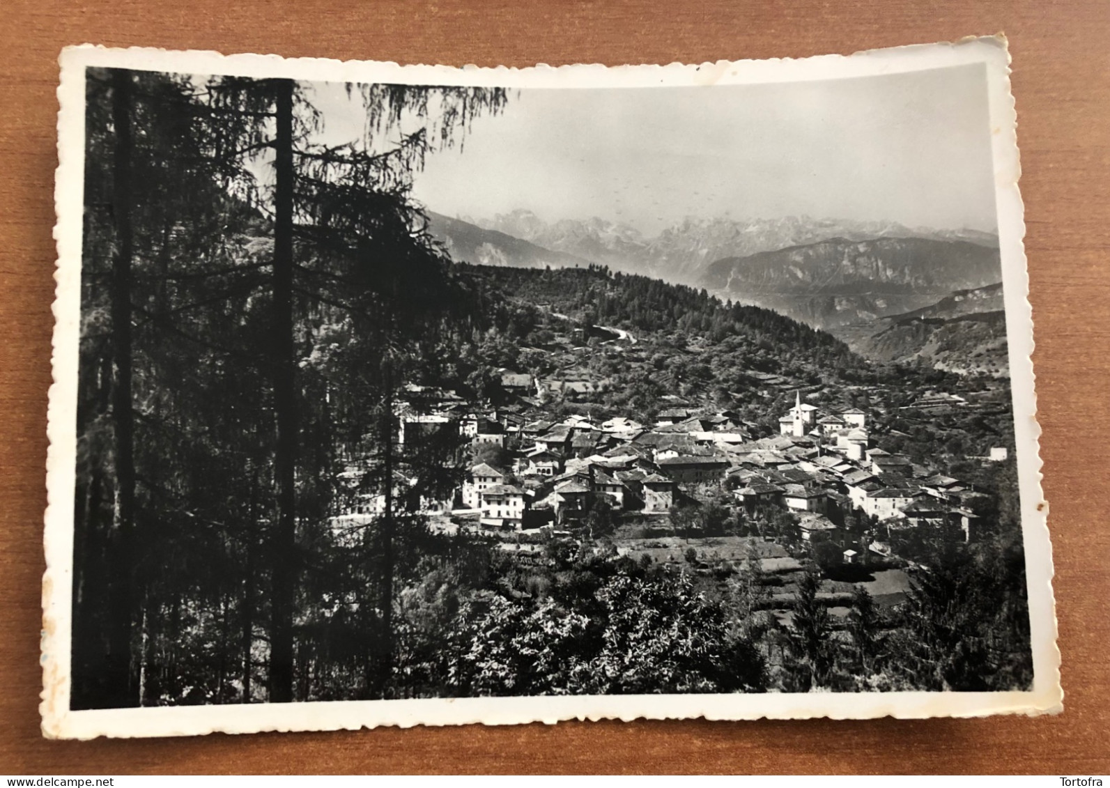 ALBIANO ( TRENTO ) PANORAMA CON LE DOLOMITI DI BRENTA 1954 - Trento