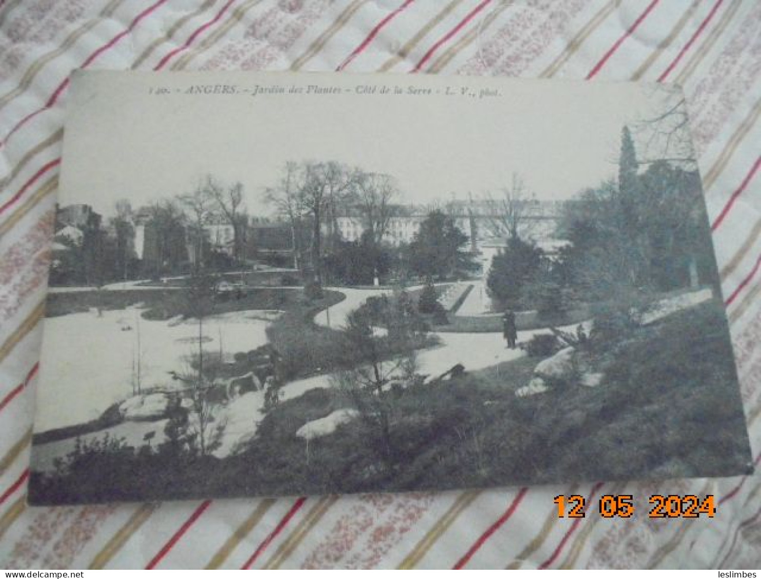 Angers. Jardin Des Plantes. Cote De La Serre. LV 140 PM 1910 - Angers