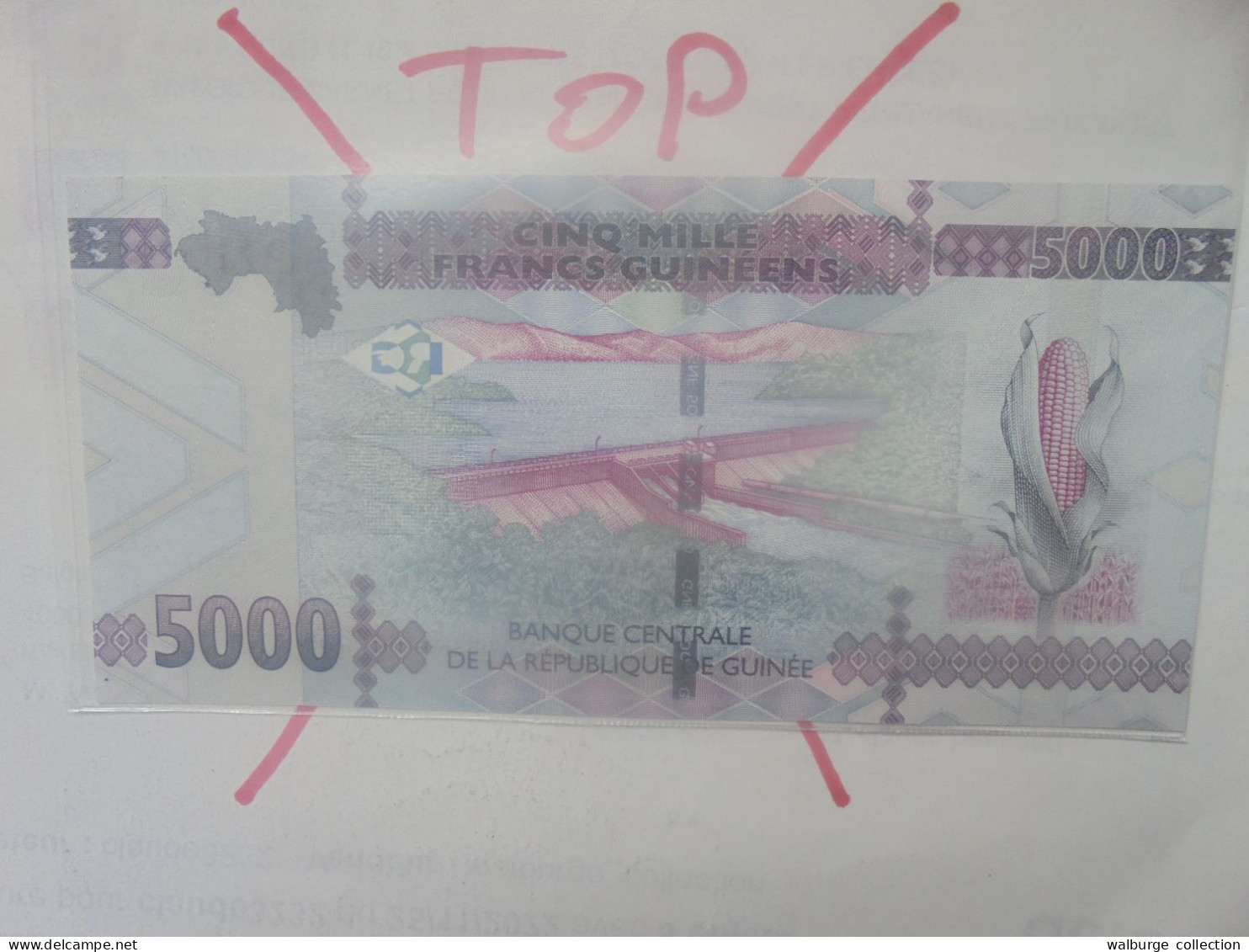 GUINEE 5000 FRANCS 2015 Neuf (B.33) - Guinee