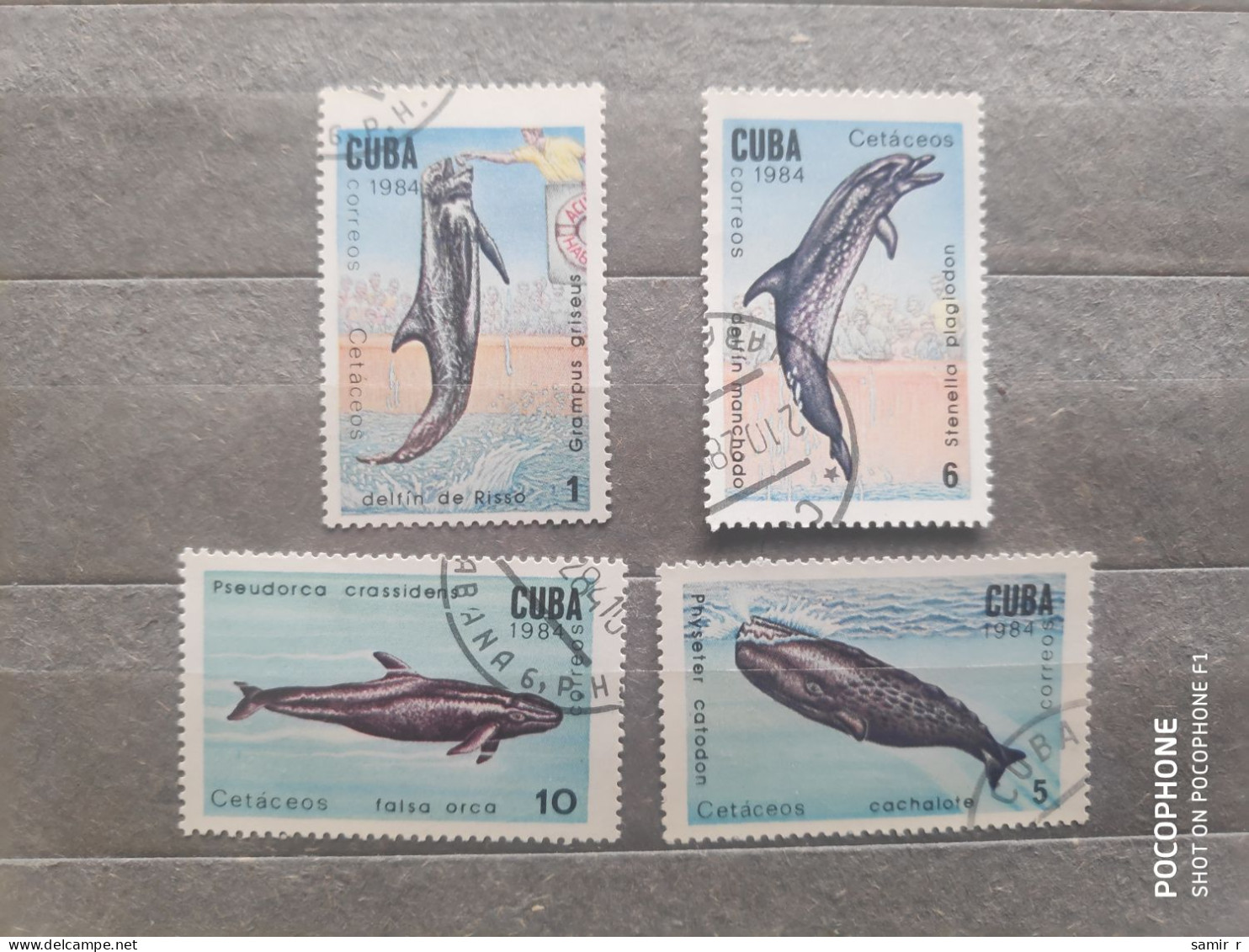1984	Cuba	Fishes (F97) - Used Stamps