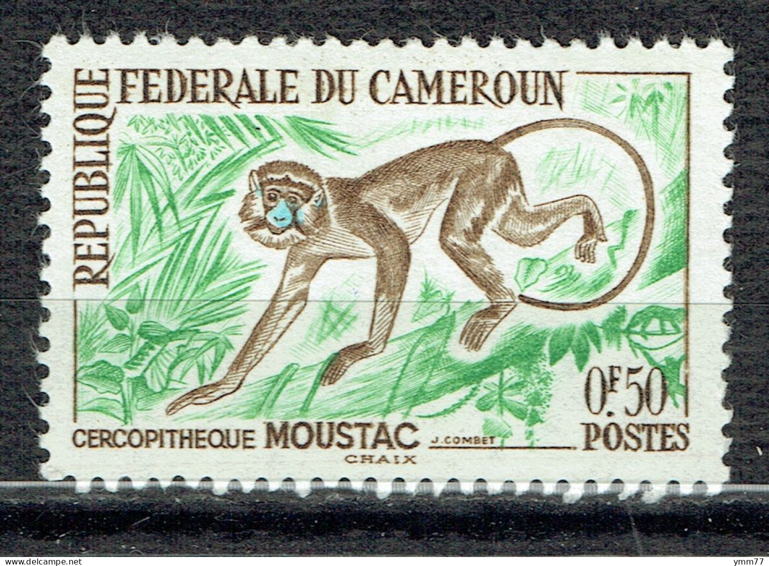 Animaux : Cercopithèque - Kamerun (1960-...)