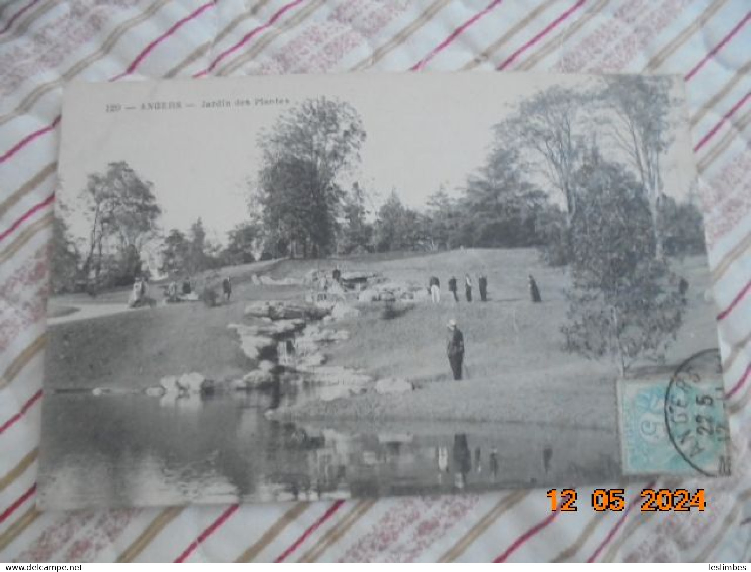 Angers. Jardin Des Plantes. 129 PM 1907 - Angers